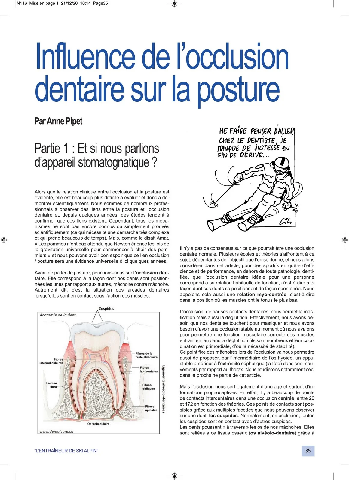 Influence de l'occlusion dentaire sur la posture Article Anne PIPET