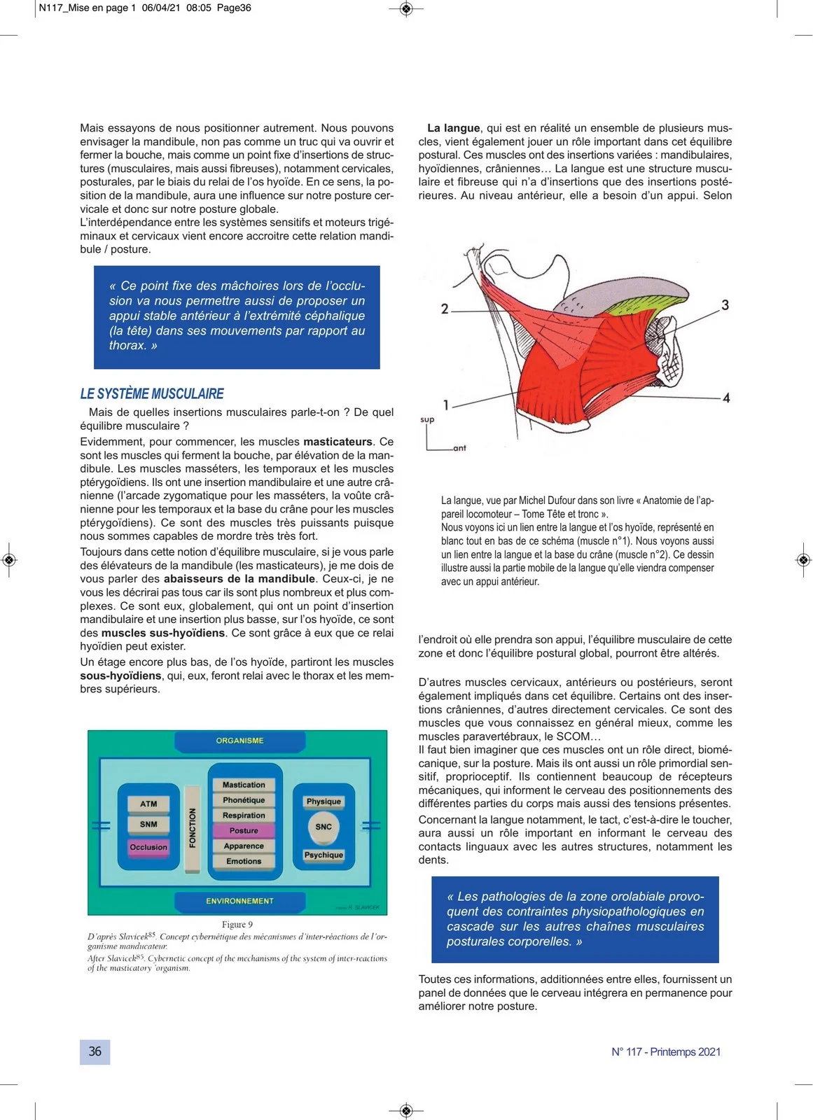 Influence de l'occlusion dentaire sur la posture Article Anne PIPET