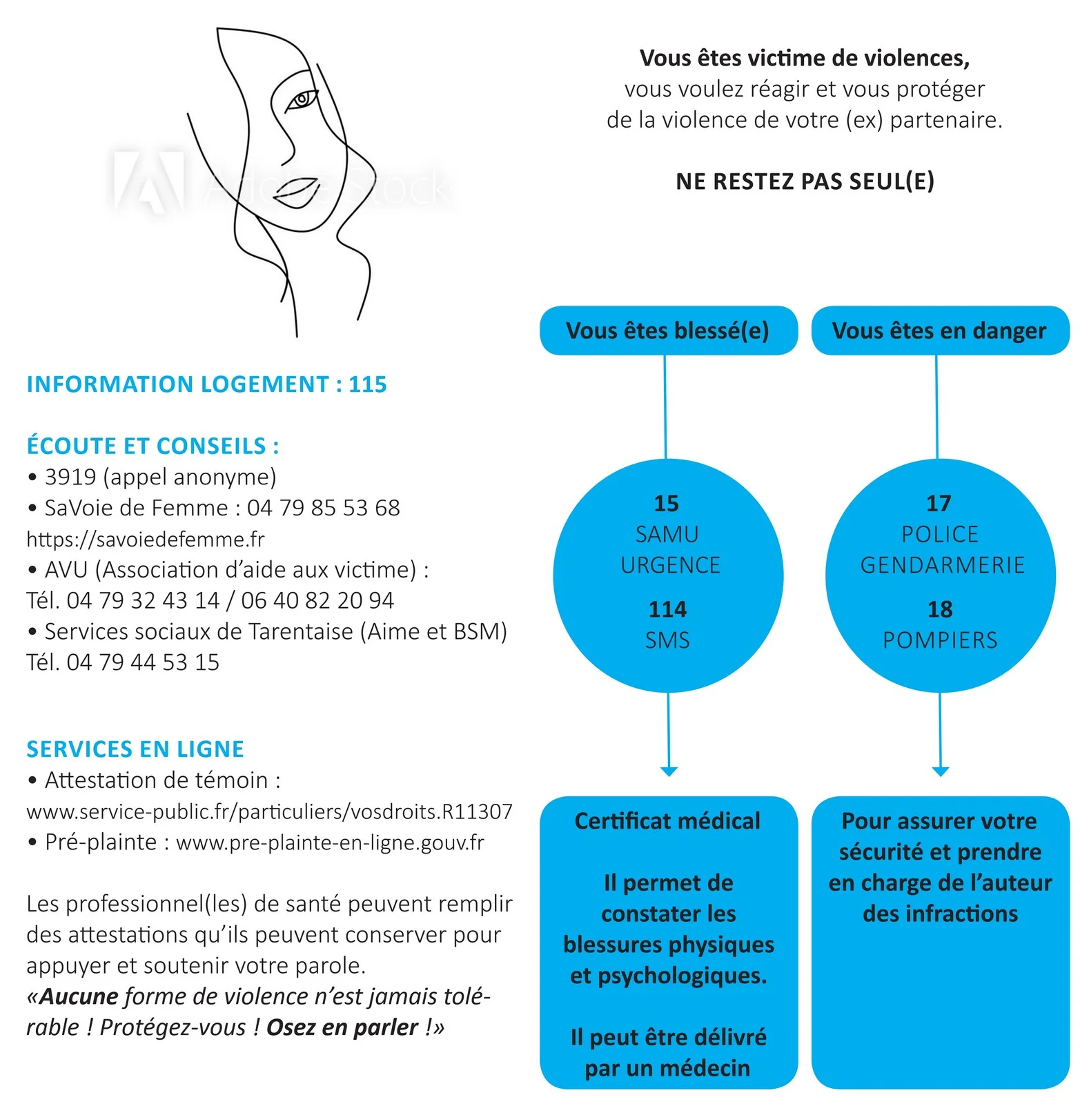 Carte d'orientation des victimes de violences conjugales montrée durant la formation proposée par Anne PIPET formations en rééducation maxillo-faciale, posture et violences